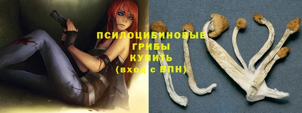бутират Лабытнанги