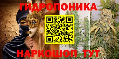 гидра Берёзовский