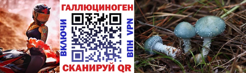 Псилоцибиновые грибы MAGIC MUSHROOMS  Темрюк 