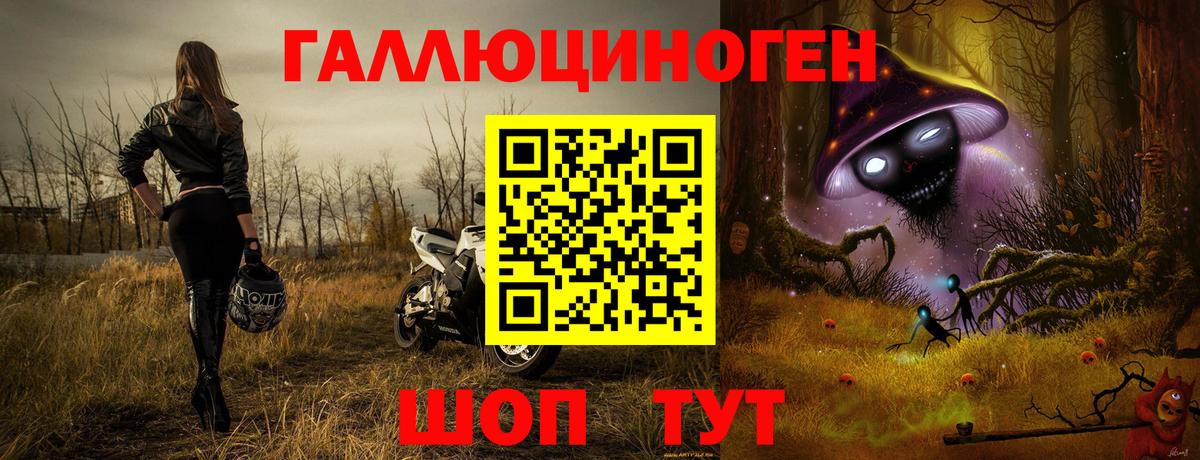Псилоцибиновые грибы Psilocybe  Темрюк 